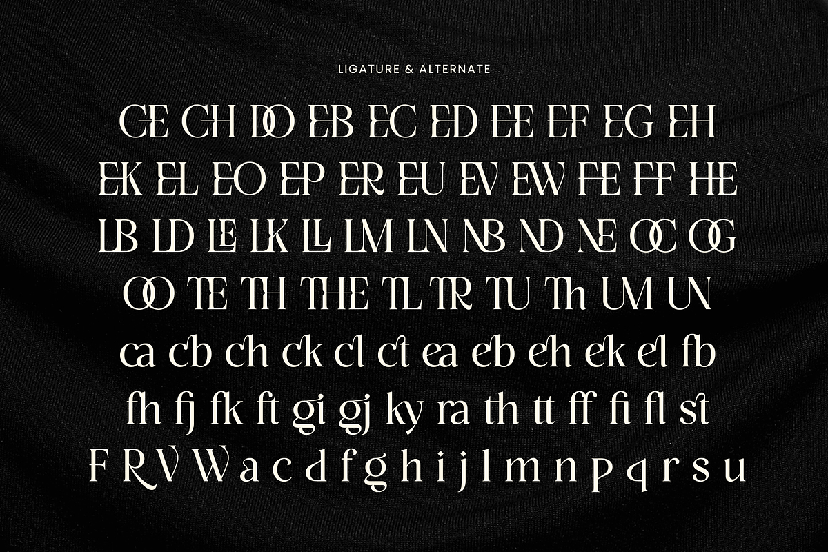 Sonice - Modern Luxury Font, a Serif Font by Vampstudio (Photo 12 of 13)