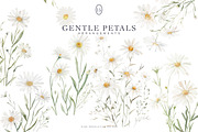 watercolor daisy clipart set, a Decorative Illustration by Patishop Art (Thumbnail 1 of 6)