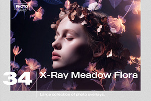 X-Ray Meadow Flora Overlays