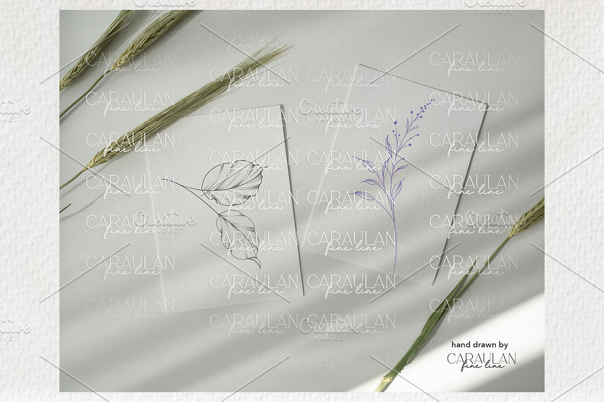 Leaves & Branches Fine Line Stamps, a Brush Add-On by CaraulanStore (Photo 6 of 7)