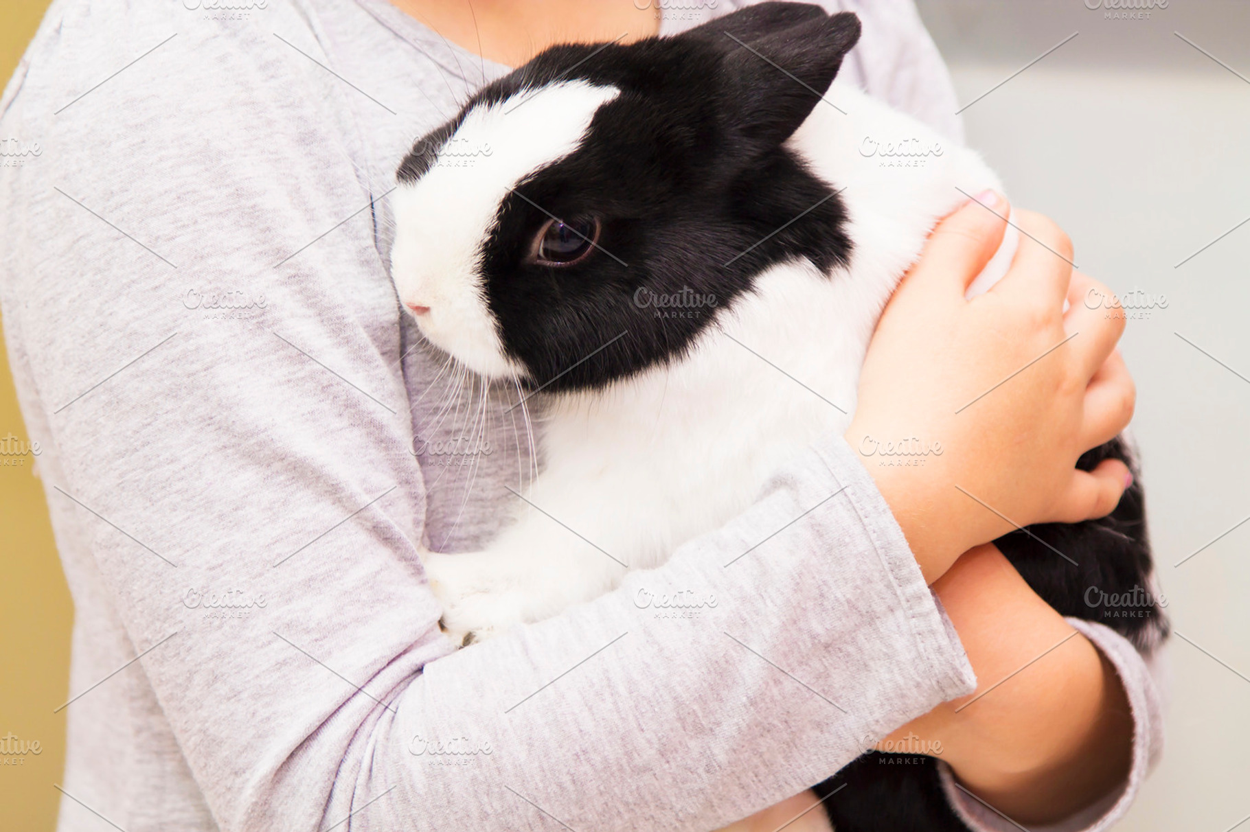 Girl with rabbit in hands stock photo containing pet and rabbit, an Animal Photo by tetxu