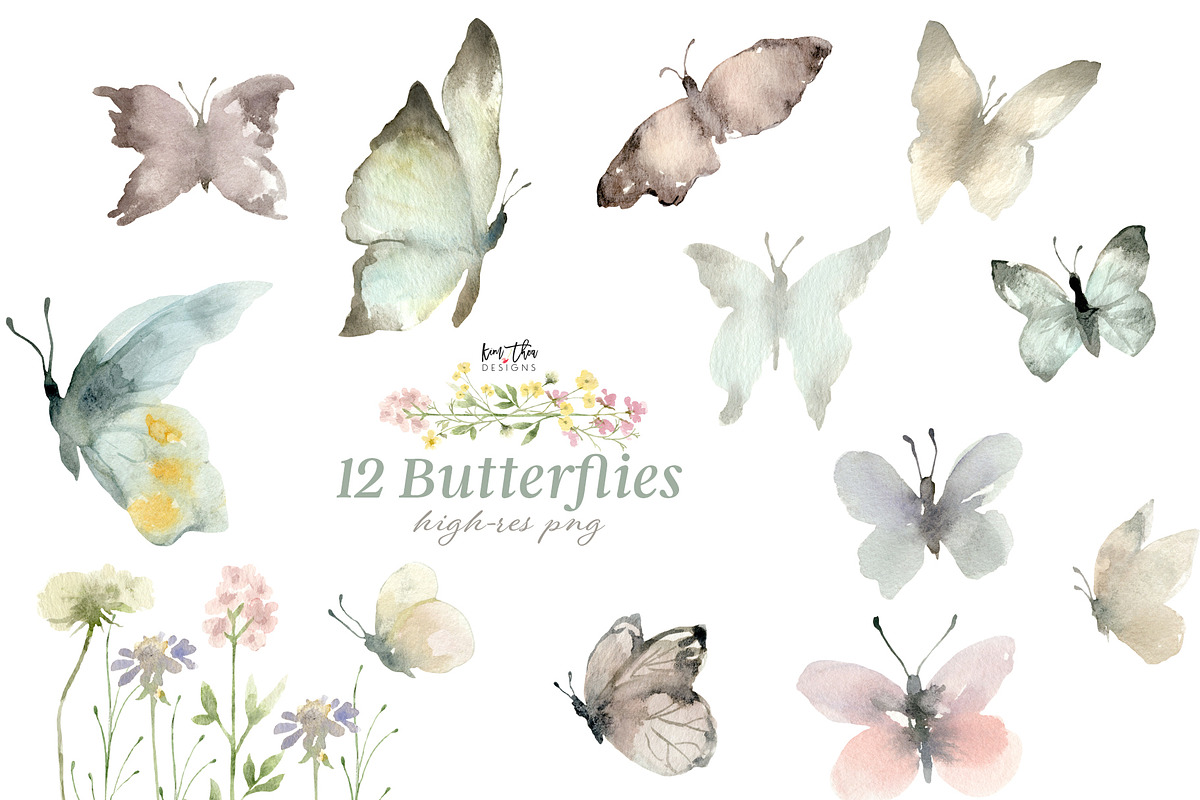 Spring Meadow Wildflower Collection, an Illustration by Kim Thoa Designs (Photo 7 of 9)