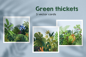 Plants & Green Leaves, Nature Cards