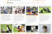 Petshop & Pet Care WordPress Theme, a WordPress Template by Visualmodo (Thumbnail 10 of 30)