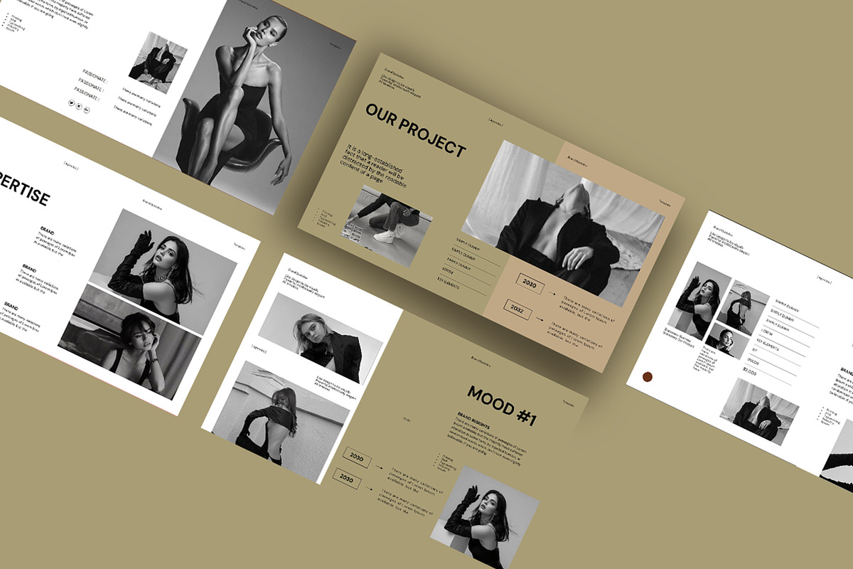 Brand Portfolio Presentation preview 6