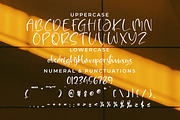 Kerlloty, a Script Font by Integritype Studio (Thumbnail 9 of 15)