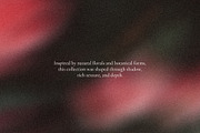 Veiled Florals - Blurry Backgrounds, a Background Graphic by Dina Mae (Thumbnail 4 of 14)