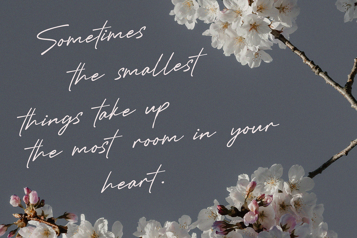 Mustineos Kedisyom Chic Feminine, a Script Font by Maulana Creative (Photo 6 of 7)