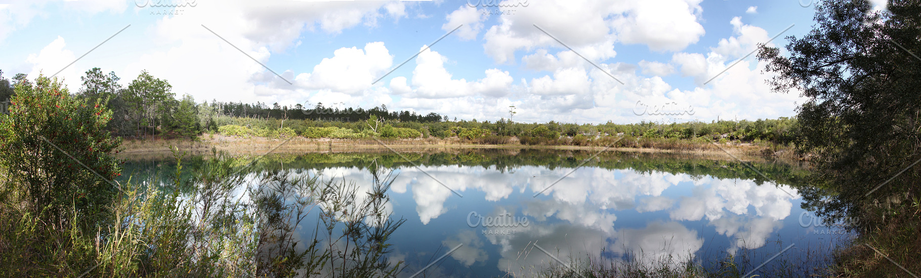Lake in Gold Head Branch State Park, a Nature Photo by Viktor