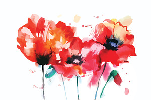 Watercolor poppy flower