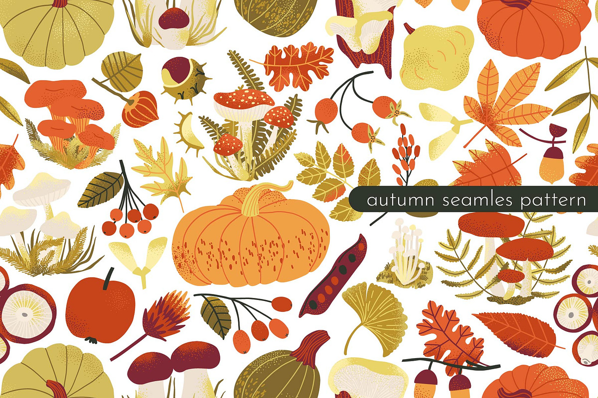 HELLO AUTUMN: clipart|border|pattern, a Seasonal Illustration by Elliko shop (Photo 10 of 12)