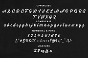 Telford Town - Bold Script Font, a Script Font by Mayofont (Thumbnail 9 of 11)
