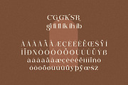 Begilas Modern Serif Font, a Serif Font by Storytype Studio (Thumbnail 13 of 14)