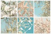 Stock Image Bundle, spring flowers, a Mockup by JAY MID IMAGE (Thumbnail 5 of 6)
