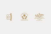 Elegant Feminine Botanical Branding, a Branding & Logo Template by Design_Planet (Thumbnail 4 of 12)