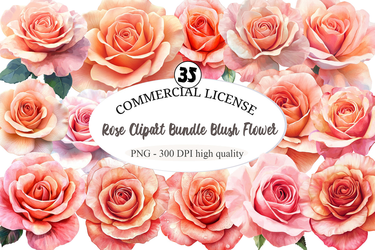 Rose Clipart Bundle Blush Flower, an Illustration by designcity5 (Photo 1 of 5)