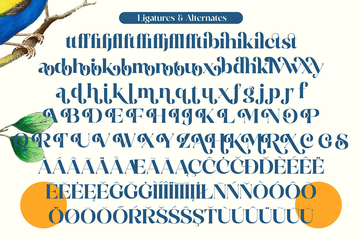 Prague Quest Modern Serif Font, a Serif Font by timelesstype.co (Photo 19 of 20)
