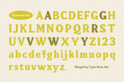 Minigolf - Groovy Serif Display, a Serif Font by Typia Nesia (Thumbnail 3 of 18)