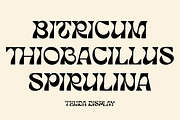 Tenda Display, a Font by Attract Studio (Thumbnail 5 of 17)