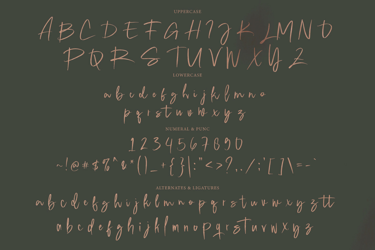 Love Grild Signature, a Handwritten Font by executypeStudio (Photo 9 of 10)