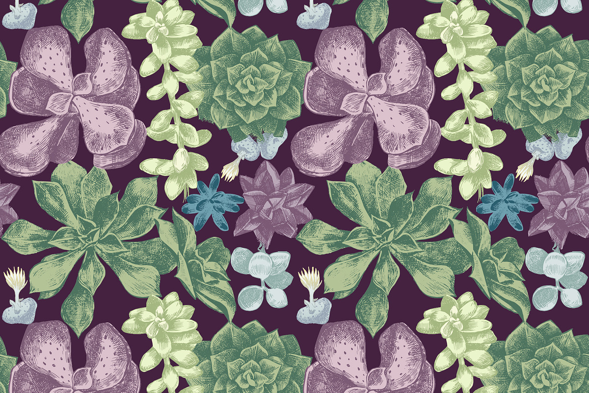 Cactuses and succulents collection, a Decorative Illustration by handsketched (Photo 3 of 7)