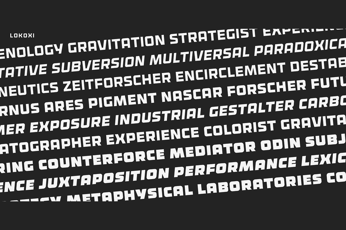 Lokoxi - Standard Family, a Sans Serif Font by Anfound Type (Photo 14 of 14)