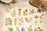 Dark vintage. Watercolor autumn set, an Object Graphic by JuliaBadeeva (Thumbnail 5 of 12)