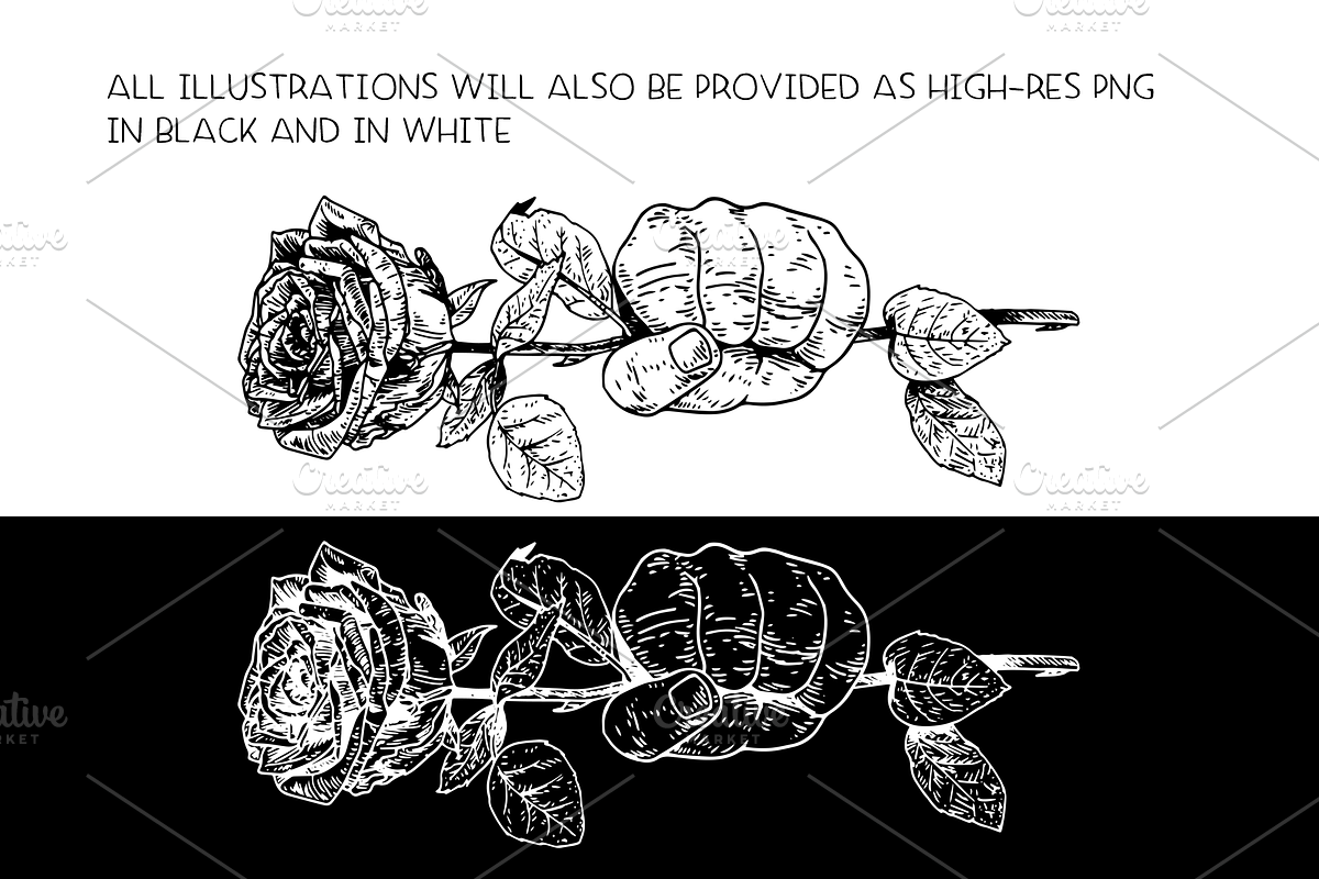 Social democracy roses - vector, a Decorative Illustration by Renée from Studio neetje (Photo 5 of 5)