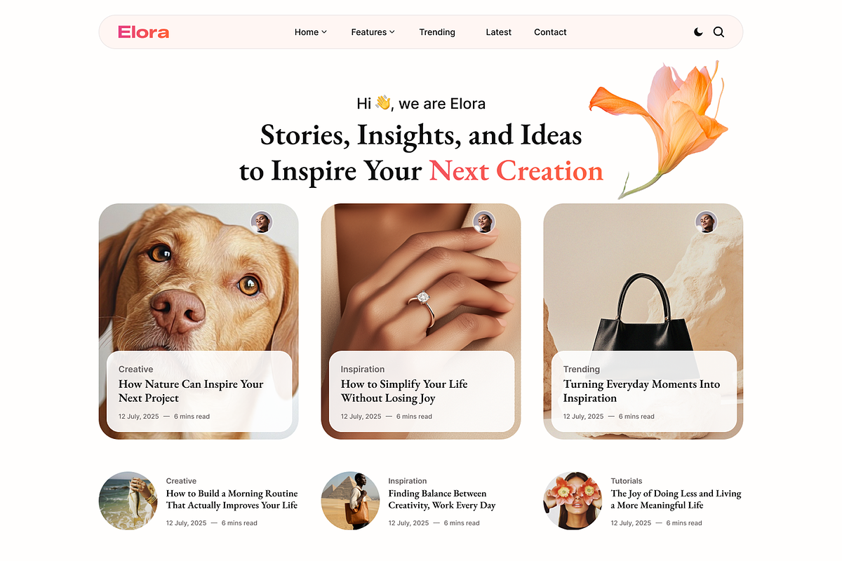 Elora – Creative Magazine WP theme, a WordPress Template by AliThemes (Photo 3 of 5)