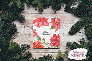 Watercolor poinsettia clipart, an Illustration by OlDm_Shop (Thumbnail 5 of 10)