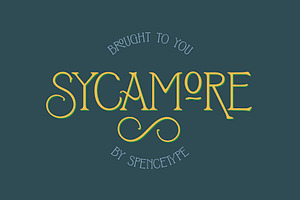 Sycamore Display Font