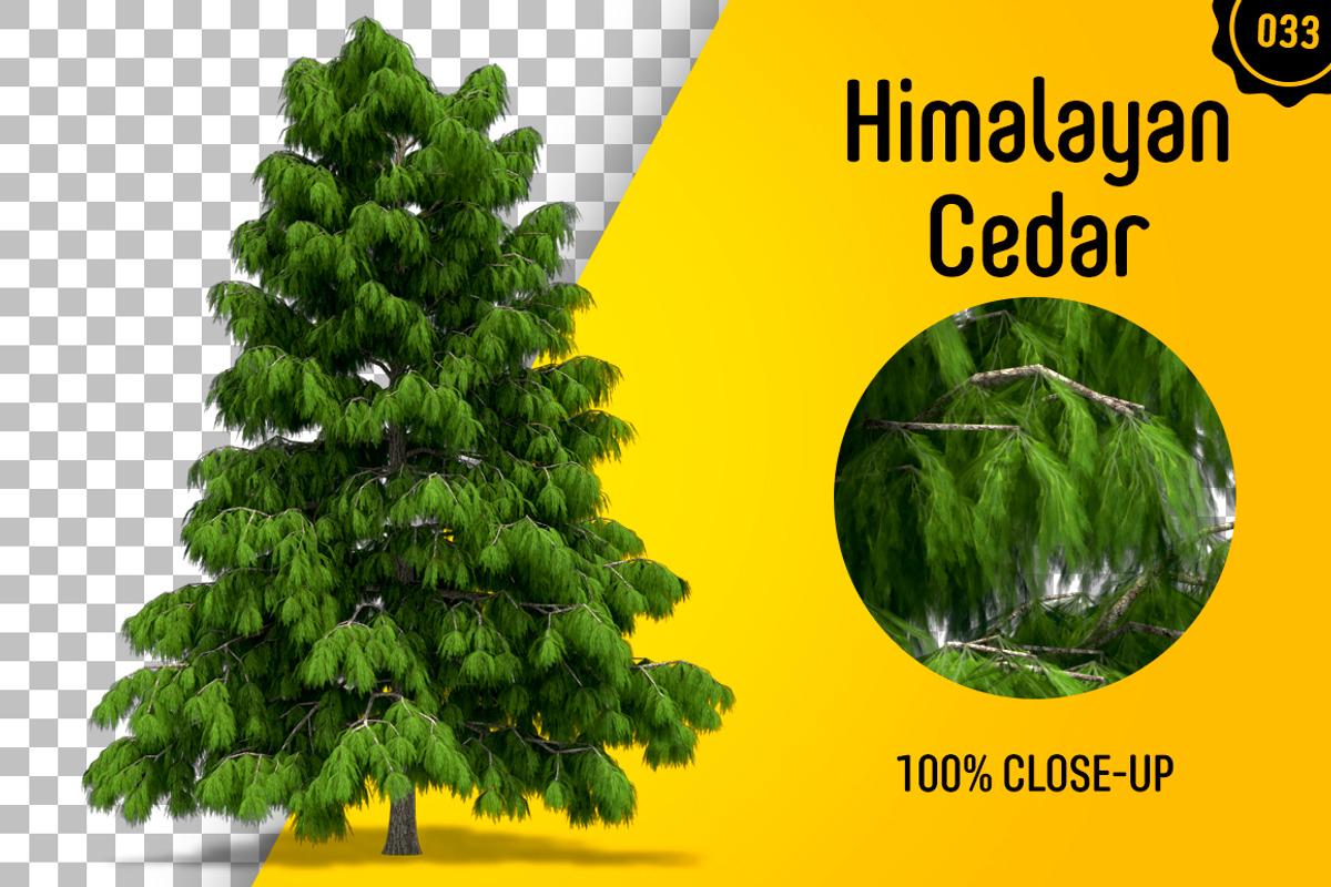 CUT OUT TREES - 60 PCS BUNDLE, a Packaging Mockup by 3DSTORE (Photo 34 of 63)