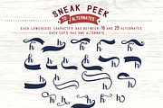 Rebetha Font DUO and extras, a Script Font by BlackCatsMedia (Thumbnail 4 of 7)