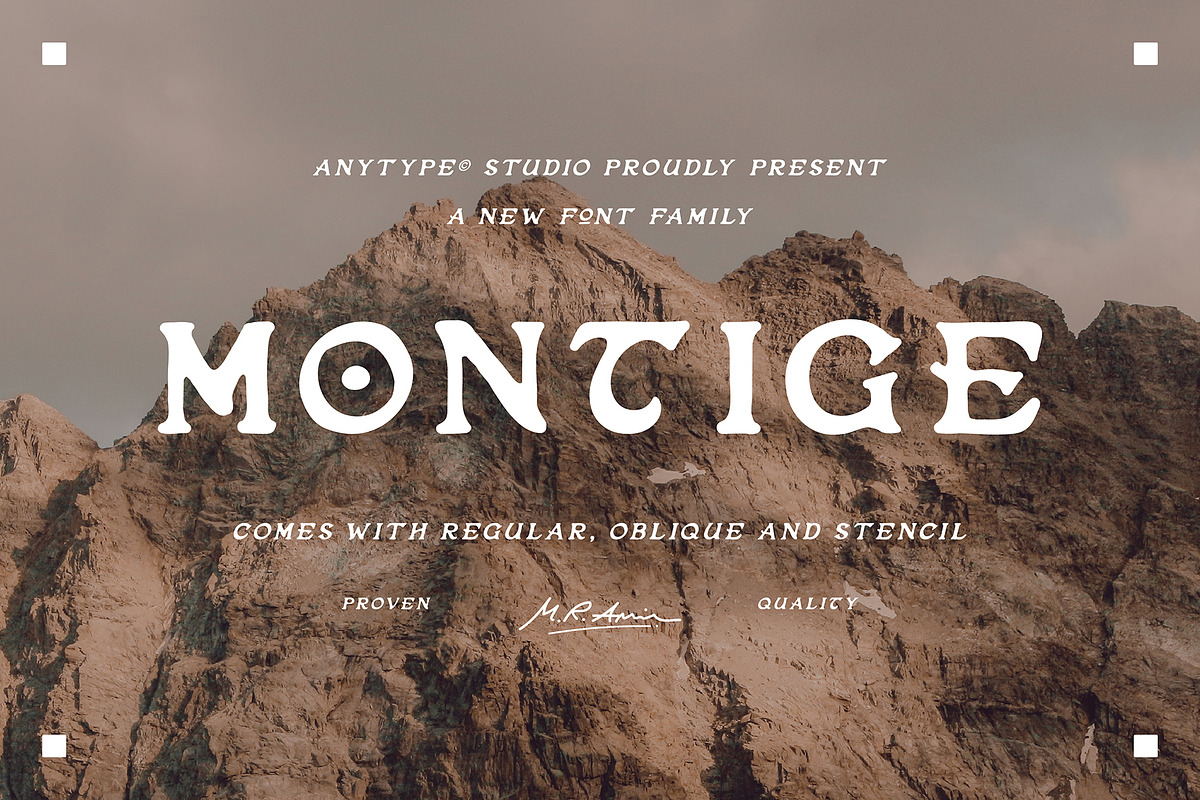 Montige Font, a Serif Font by Any-Type® Foundry (Photo 1 of 5)