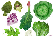 Vegetables, Herbs Watercolor Clipart, an Object Graphic by JSolomatina (Thumbnail 7 of 15)