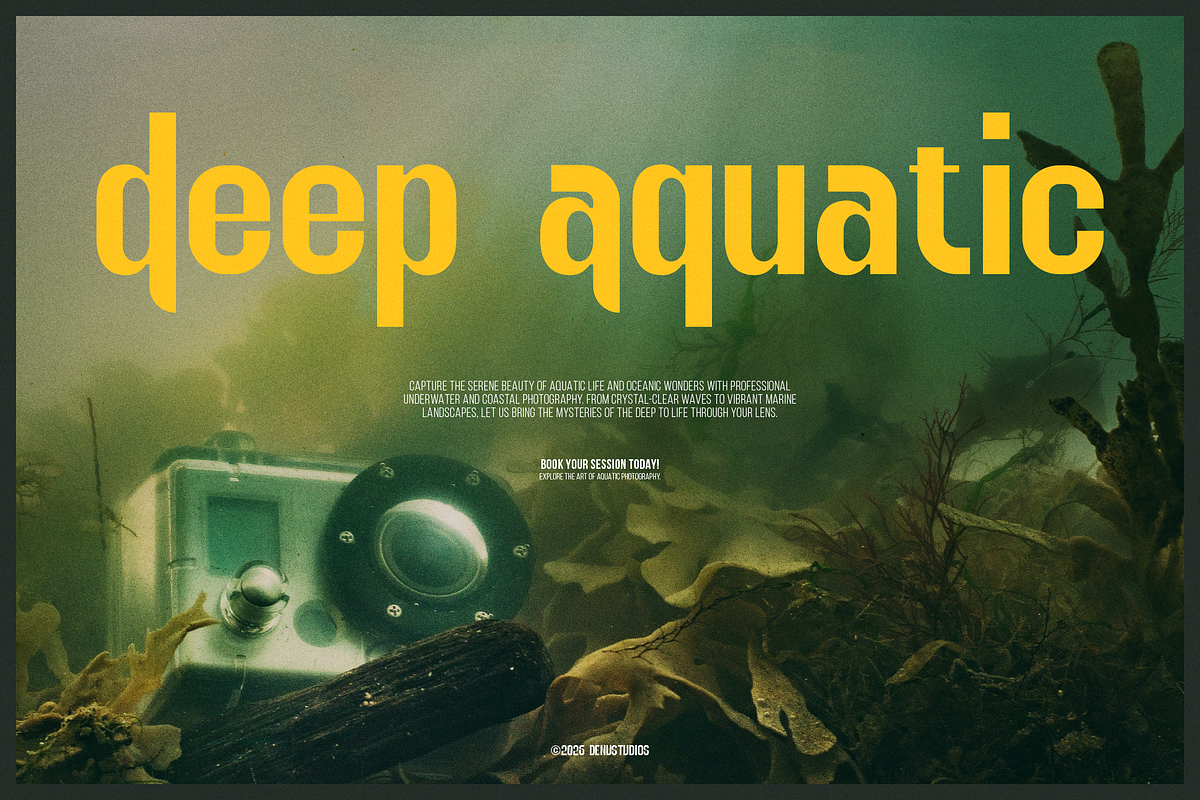 Rover Redo | Bold Display Sans, a Sans Serif Font by Denustudios (Photo 4 of 12)