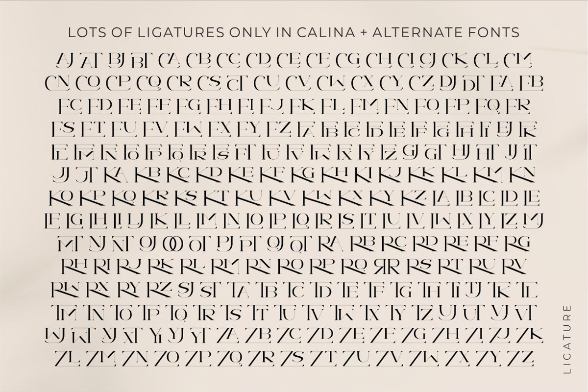 Calina serif classy font, a Serif Font by suhadidesign (Photo 15 of 18)