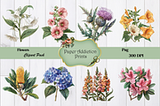 70 Flower Clipart Images, a Decorative Illustration by Paper Addiction Prints (Thumbnail 2 of 10)