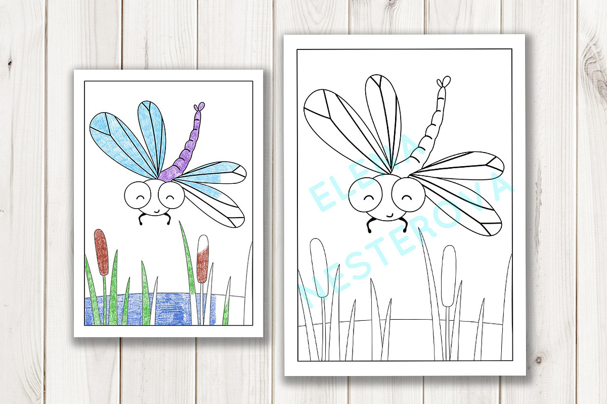 Coloring Pages with insects, an Illustration by Elena Nesterova (Photo 3 of 7)