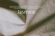 Inkbleed Sans Typeface (2 fonts), a Font by Nicky Laatz (Thumbnail 9 of 14)