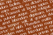 ZADOBESY Sans Serif Font, a Sans Serif Font by Basnistudio (Thumbnail 6 of 12)