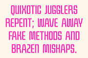 Wisdom – Condensed Font, a Sans Serif Font by Craft Supply Co. (Thumbnail 5 of 8)
