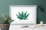 Succulents Botanical Watercolor, a Background Graphic by Hanna Hryharenka (Thumbnail 6 of 15)