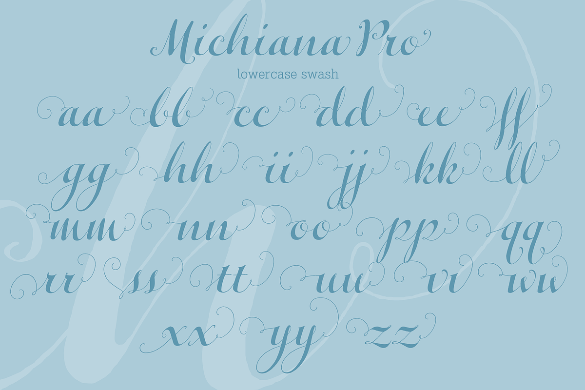 Michiana Pro, a Script Font by BluHead Studio (Photo 7 of 9)