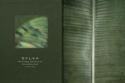 Sylva Textured Botanical Backgrounds, a Background Graphic by alonahaidash (Thumbnail 14 of 15)