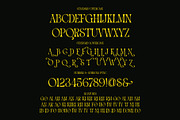 Wader Modern Elegant Serif, a Serif Font by Alfinart (Thumbnail 10 of 11)