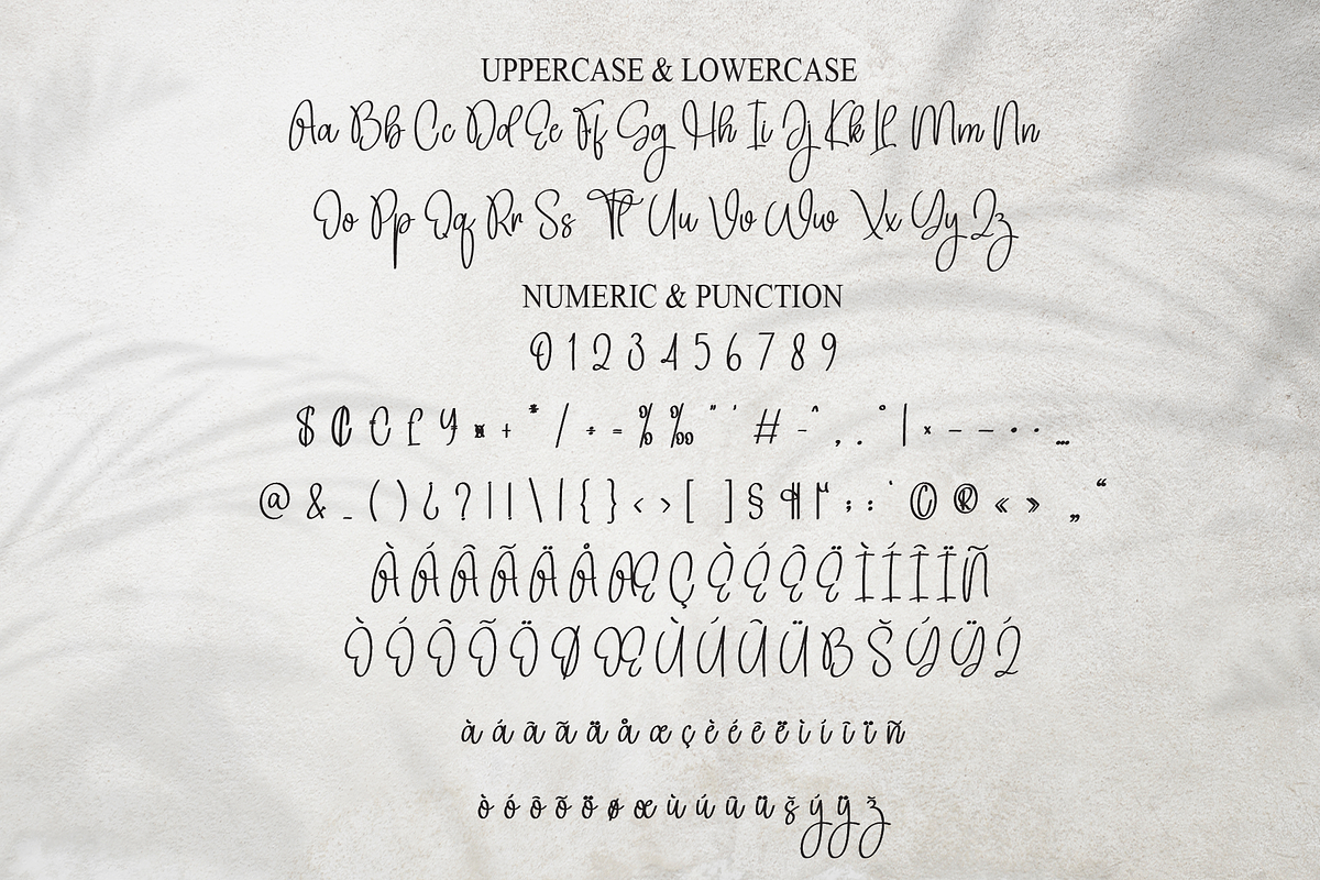 Samantha Calligraph | Script Font, a Handwritten Font by Scratchones (Photo 7 of 8)
