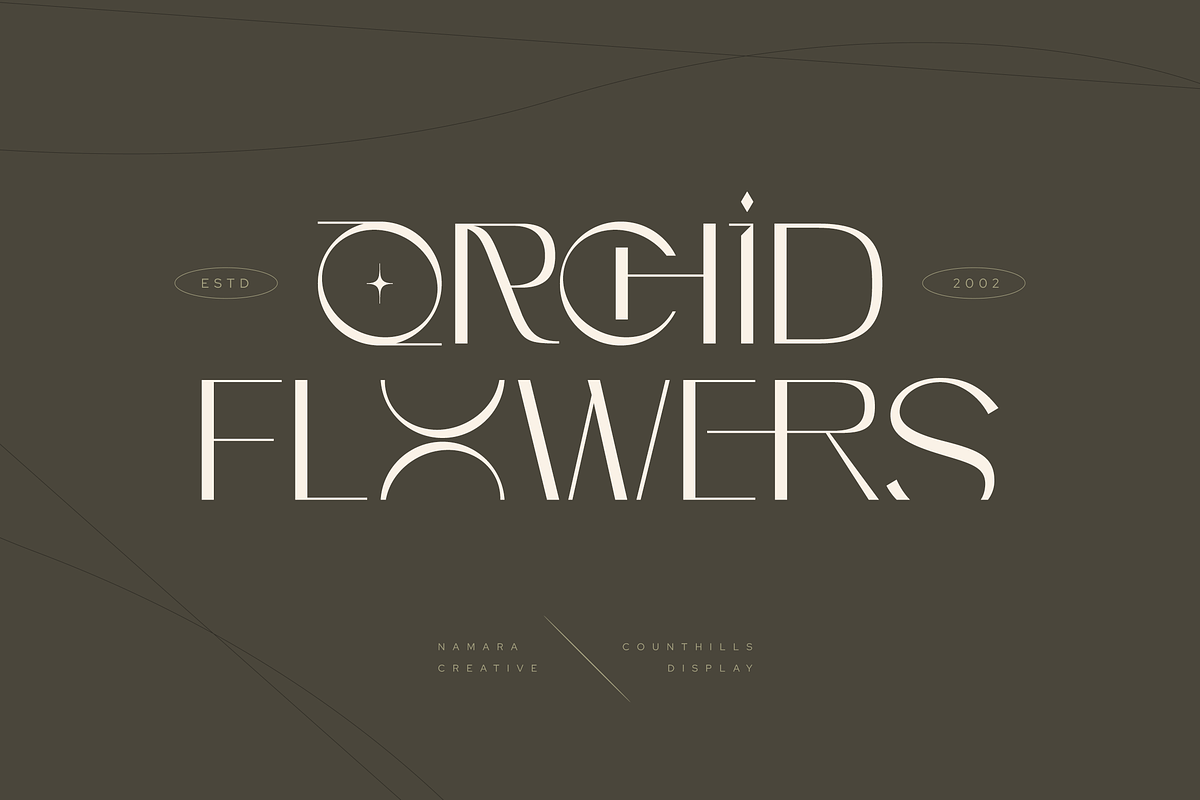 Counthills Contemporary Display Font, a Font by Namara Creative Studio (Photo 10 of 11)