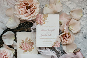 Bohemian Roses and Dried Leaves, an Illustration by Backyard Rose (Thumbnail 6 of 16)