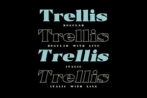 Trellis//Typeface Bold Serif